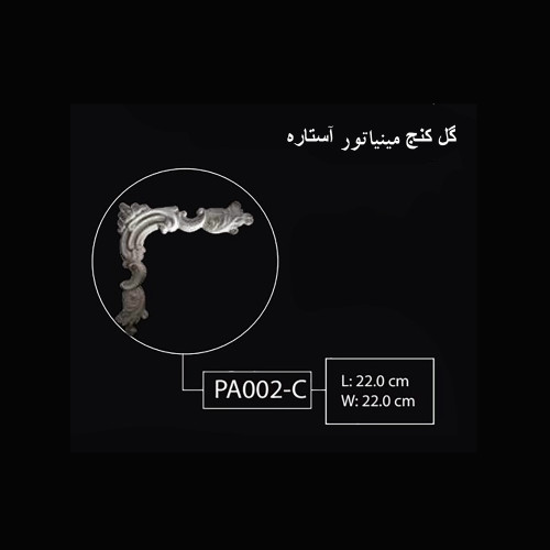 گل کنج مینیاتور آستاره PA-002-C