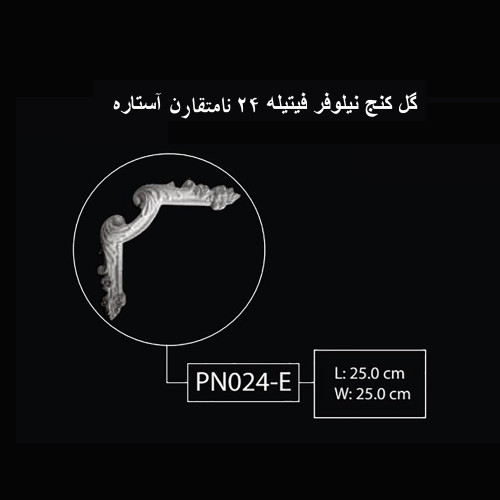 گل کنج نیلوفر فیتیله 24 نامتقارن آستاره